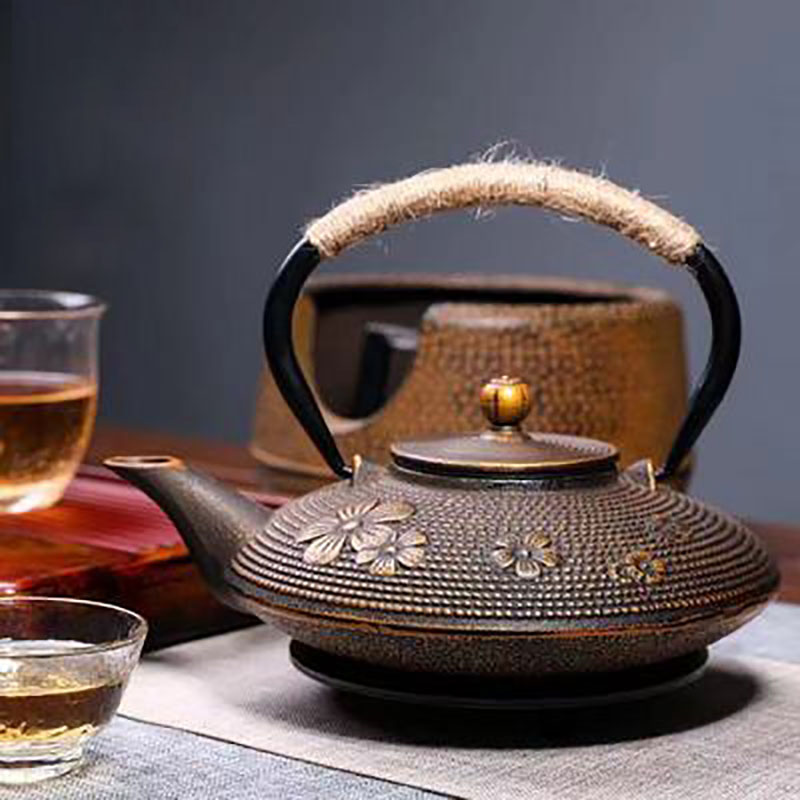 주철 티포트 세트(여과기 포함), 일본식 티포트, 테츠 - Cast Iron Tetsubin 리뷰 및 가격