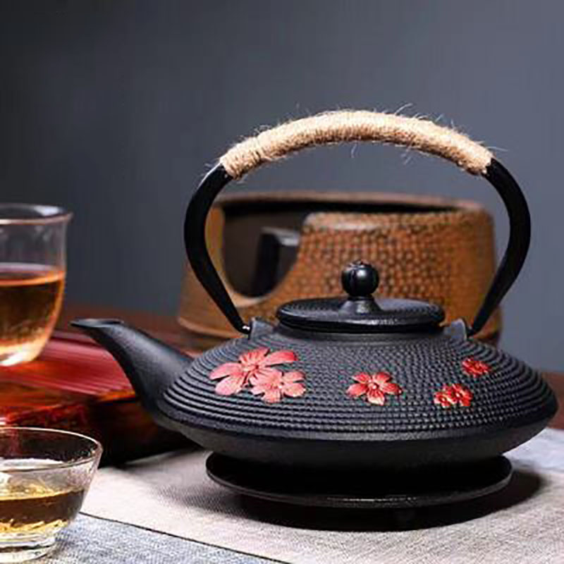 주철 티포트 세트(여과기 포함), 일본식 티포트, 테츠 - Cast Iron Tetsubin 리뷰 및 가격