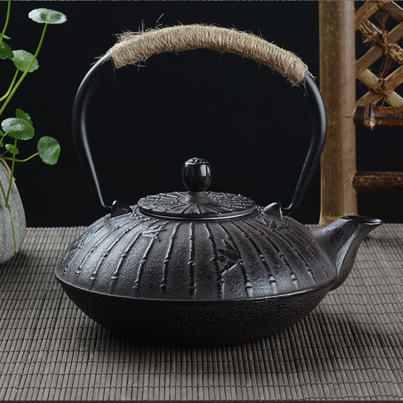 레트로 900ml 주철 티포트 일본식 테츠빈 주전자 블 - Cast Iron Tetsubin 리뷰 및 가격