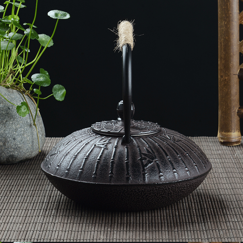 레트로 900ml 주철 티포트 일본식 테츠빈 주전자 블 - Cast Iron Tetsubin 리뷰 및 가격