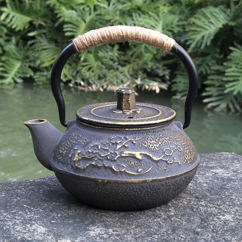주철 주전자, 일본 테츠빈 주전자, 찻주전자, 음료 도 - Cast Iron Tetsubin 리뷰 및 가격